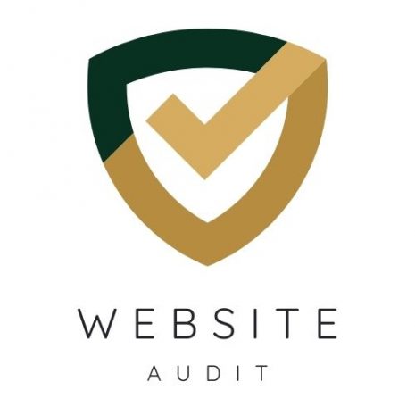 Website site audits to improve your business